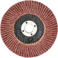 藤原産業 SK11 サンダーディスクA #40 100mm 1枚 SSDーA040 1セット(21枚)（直送品）