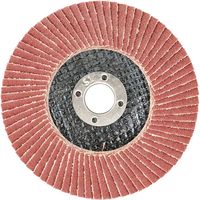 藤原産業 SK11 サンダーディスクA #120 100mm 1枚 SSDーA120 1セット(21枚)（直送品）