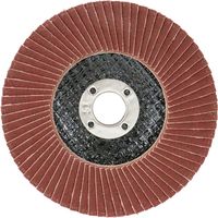 藤原産業 SK11 サンダーディスクA #400 100mm 1枚 SSDーA400 1セット(21枚)（直送品）