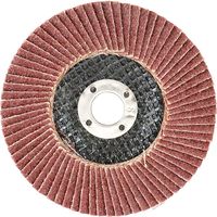 藤原産業 SK11 サンダーディスクA #60 100mm 10枚組 SSDーA060/10 1セット(3組)（直送品）