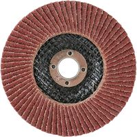 藤原産業 SK11 サンダーディスクA #80 100mm 10枚組 SSDーA080/10 1セット(3組)（直送品）