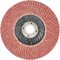 藤原産業 SK11 サンダーディスクA #120 100mm 10枚組 SSDーA120/10 1セット(3組)（直送品）