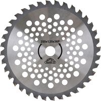 藤原産業 セフティー3 長持ちするチップソー 255mm×36P 69925 1セット(4枚)（直送品）