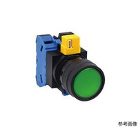IDEC HWシリーズ照光押ボタンスイッチΦ22(丸平形LED)(モメンタリ形) HW1L-M101Q4R 1個 63-6018-99（直送品）