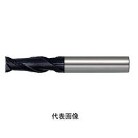 THECUT 超硬2枚刃スクエアエンドミル(AlTiNコーティング) IC2WEM 10.0 1セット(2本)（直送品）