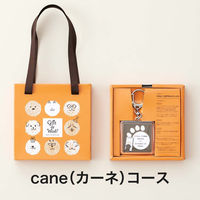 大和 〈cane(カーネ)〉Gift da Won! YM682 1個（直送品）