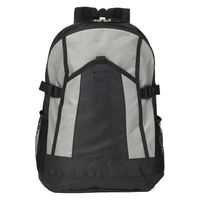 リュックサック 1個 グレー 防災リュック アウトドア 20L バックパック リュック 避難リュック 男女兼用 MOUNT ROCK（直送品）