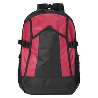 リュックサック 1個 ワイン 防災リュック アウトドア 20L バックパック リュック 避難リュック 男女兼用 MOUNT ROCK（直送品）