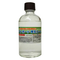 エス・エス・ティー ホワイトボード再生コート 100ml ホワイトボードをきれいに再生・復活 SC1010 1セット(1セット×6)（直送品）