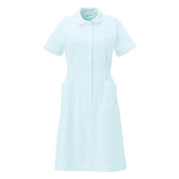 大丸白衣 ワンピース サックス LL N766 1枚（直送品）