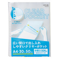 リヒトラブ リクエスト 広い間口で出し入れしやすいクリヤーポケット ファイル 交換用 A4 30穴 G49240 1セット(1組×10)（直送品）