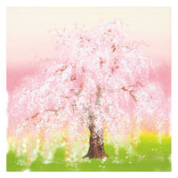 三陽商事 風呂敷 お弁当 50cm 綿小ふろしき 春夏秋冬 春 364185 1個（直送品）