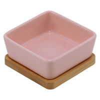 ルークラン フードボウル ループ ディッシュ ピッコロ 陶器 犬 猫 ペット ライトピンク 447685 1個（直送品）