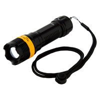 リマーク ネックストラップ付きズームライト 81722 1個（直送品）