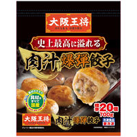 イートアンドフーズ [冷凍] 大阪王将 肉汁爆弾餃子 700g 4954018001466 1個(700g)（直送品）