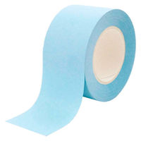 ロール付箋メモ メモテ ハイスタンダード 25mm幅×10m パステルブルー 1709-0011-0620 1セット(1個×10)（直送品）