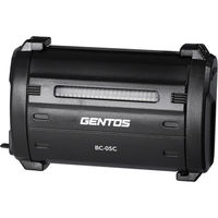 ジェントス GT-05SB専用充電器 Type-C BC-05C 1個（直送品）