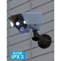 スマイルキッズ センサーライト付防犯ダミーカメラ ASL-3309 1個（直送品）