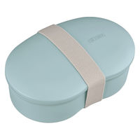 サーモス フレッシュランチボックス DJV-570 SRA 1個（直送品）