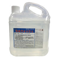 井上石灰工業 カルウォッシュ 66125 1個(4kg)（直送品）
