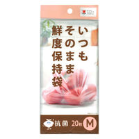 いつもそのまま 鮮度保持袋 保存袋 M 1パック（20枚）ジャパックス