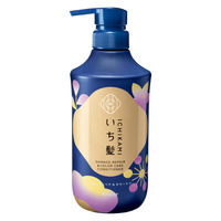 いち髪　ダメージリペア＆カラーケア　コンディショナー　ポンプ 450g クラシエ