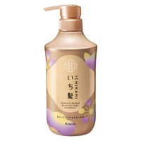 いち髪　ダメージリペア＆カラーケア　シャンプー　ポンプ 450ml クラシエ