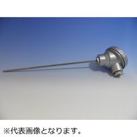 林電工 シース熱電対 D-ST1K-80-500-B 1本（直送品）