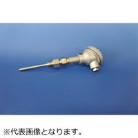 林電工 シース測温抵抗体 D-SR23-12-300 1本（直送品）
