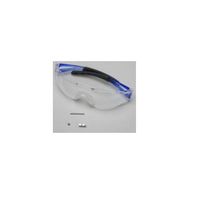 エコーテック ゴーグル付薄長刃セット (5セット) ZH16SG 5SET 1セット（直送品）