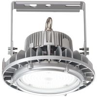 岩崎電気 レディオック ハイベイθ EHWP10014W/NSAZ9/F 1PC（直送品）