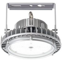 岩崎電気 レディオック ハイベイθ EHWP12014W/NSAZ9/F 1PC（直送品）