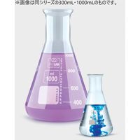 Isolab 三角フラスコ 500mL ief500 1セット(3個)（直送品）