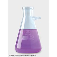 Isolab 濾過フラスコ 2000mL 040.01.902 1個（直送品）