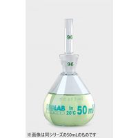 Isolab 比重瓶 100mL 023.02.100 1個（直送品）