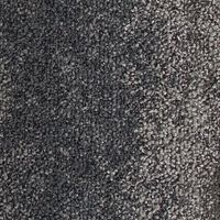 シンコール ピアド モルズ B PDB1696 50cm×50cm 【20枚入】 1個（直送品）