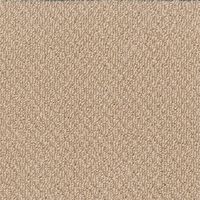 シンコール フレンズ100 FRN7953 50cm×50cm 【16枚入】 1個（直送品）