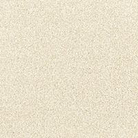 シンコール フレンズ300 FRN7957 50cm×50cm 【16枚入】 1個（直送品）