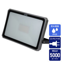 朝日電器 LED投光器 5000ルーメン 昼白色相当 LFL-1005 1個（直送品）