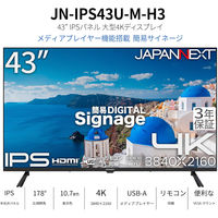 JAPANNEXT 43インチ ワイド 4K液晶ディスプレイ JN-IPS43U-M-H3 1台（直送品）