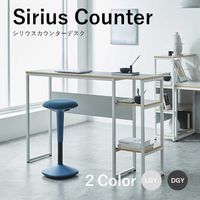 WINcase カウンターデスク シリウス ライトグレー 幅120cm 417146 1個（直送品）