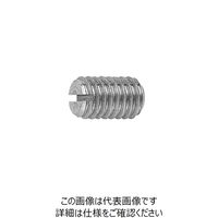 ファスニング J ステンレス すり割り付き止めねじ（平先） 1.4 X 2.5 C1020J000014002500 1箱（100個）（直送品）