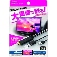 カシムラ HDMI変換ケーブル