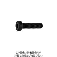 ファスニング J ユニクロ 鋼 ローヘッドキャップ 16 X 60 A000L0000160060001 1箱（25個）（直送品）