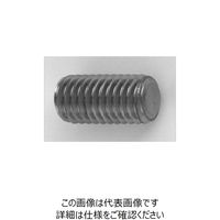 ファスニング J スズコバ 鋼 六角穴付き止めねじ（ホーローセット）（平先） 6 X 30 A00050100060030020（直送品）