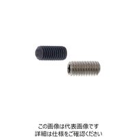 ニッケル 鋼 六角穴付き止めねじ(ホーローセット)(ダブルポイント)[TKS] 8 X 25 A000504T0080025005（直送品）