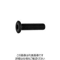 サンコーインダストリー 3カーB 鉄 極薄NSローヘッド 5 X 15 A000L3000050015004 1箱（30本）（直送品）