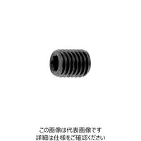 ファスニング J 鋼 六角穴付き止めねじ（UNC）（ホーローセット）（くぼみ先） #2-56X1/8 A000513P7020801000（直送品）