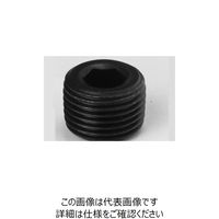 ファスニング J ユニクロ 鋼 GOSHOプラグ（GM）