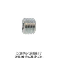 ファスニング J ニッケル 鋼 六角穴付きテーパねじプラグ（沈み） PT 1”1/2 A00057108140000005 1箱（15個）（直送品）